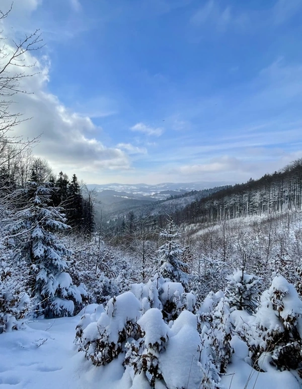 Z ateliéru do reality: Když se promo focení v Jeseníkách změní v záchrannou akci