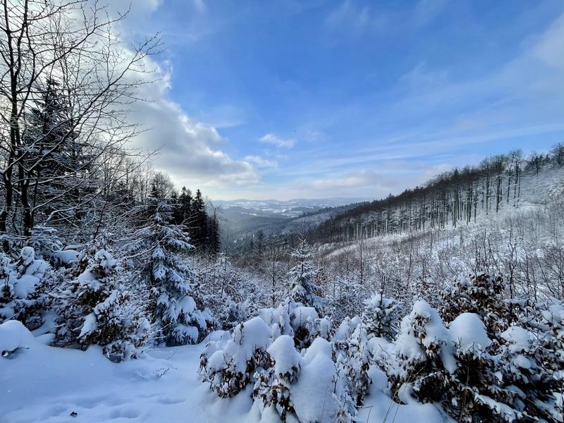 Z ateliéru do reality: Když se promo focení v Jeseníkách změní v záchrannou akci